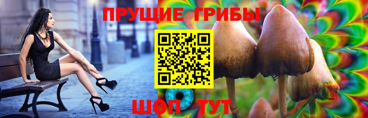 сколько стоит  Вход с VPN  Новотроицк  Галлюциногенные грибы мицелий 